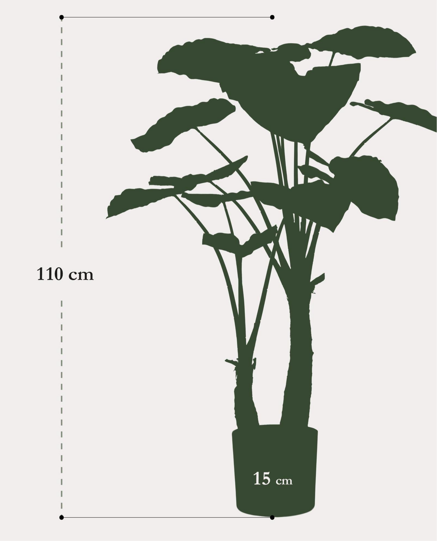 Kunstplant Alocasia 110cm – Olifantsoor