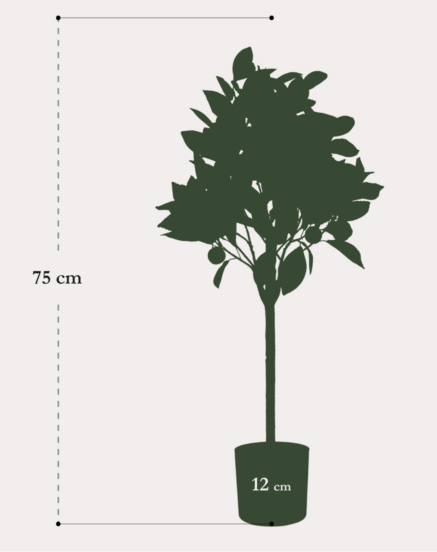 Kunst Sinaasappelboom 75cm – Citrus Sinensis