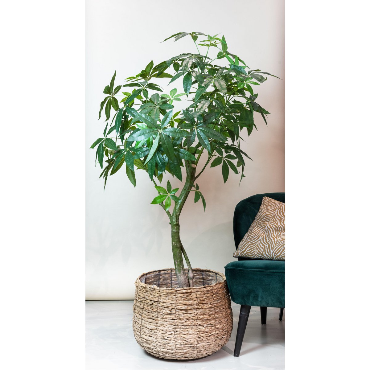 Kunstplant Pachira Aquatica 150cm – Geldboom groen woonaccessoire