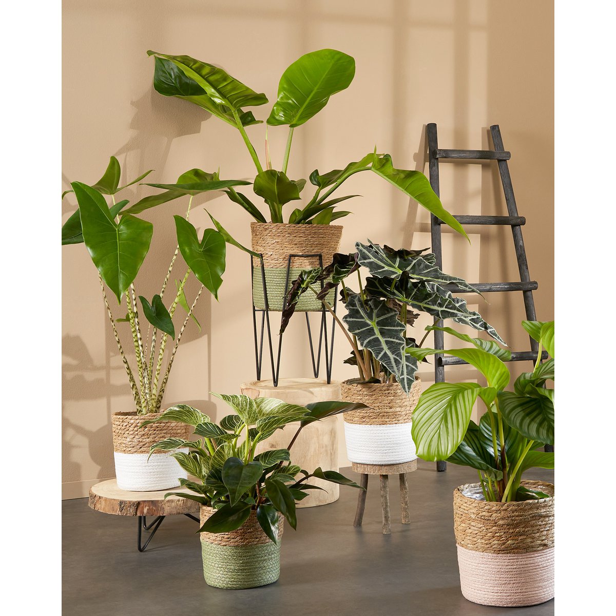 Boomstam bijzettafel 40cm met metalen onderstel – Woonware