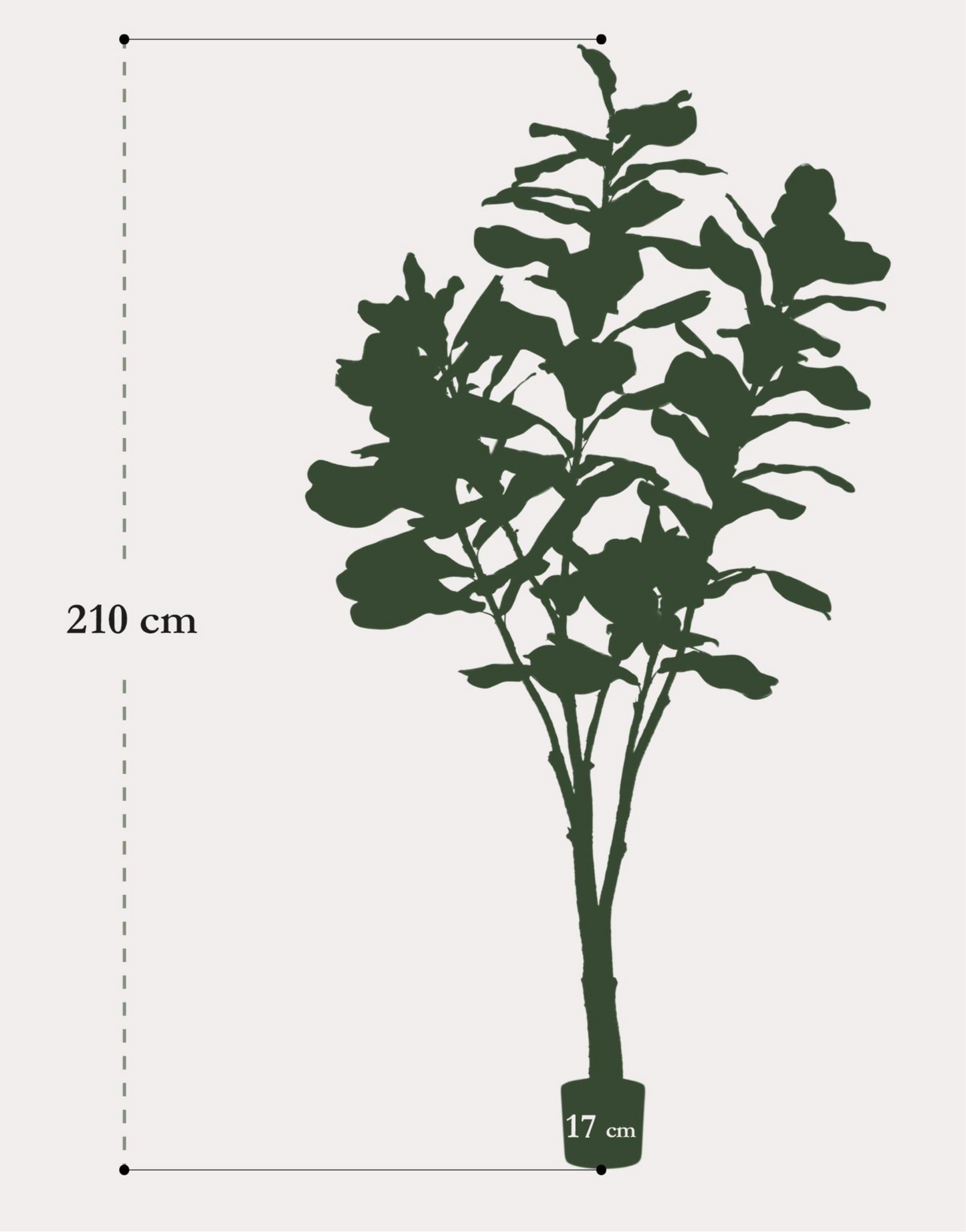 Kunstplant Ficus Lyrata 210cm – Tabaksplant