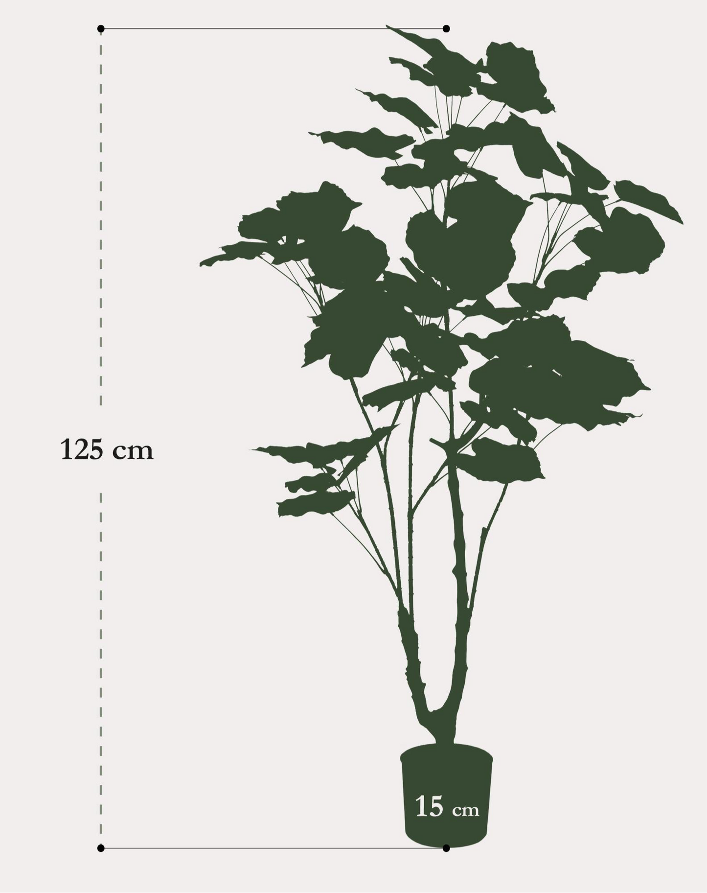 Kunstplant Ficus Umbellata 125cm – Afrikaanse vijg