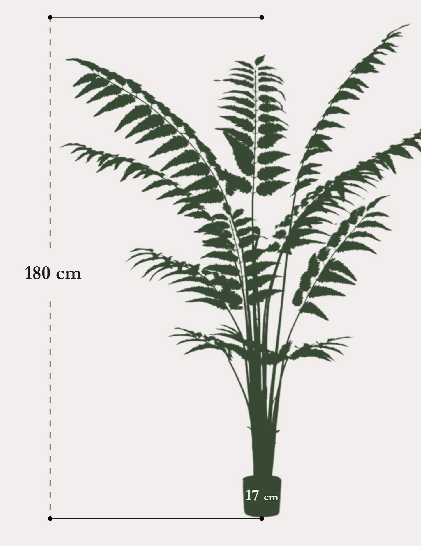 Kunstplant Ledervaren 180cm – Rumohra Adiantiformis