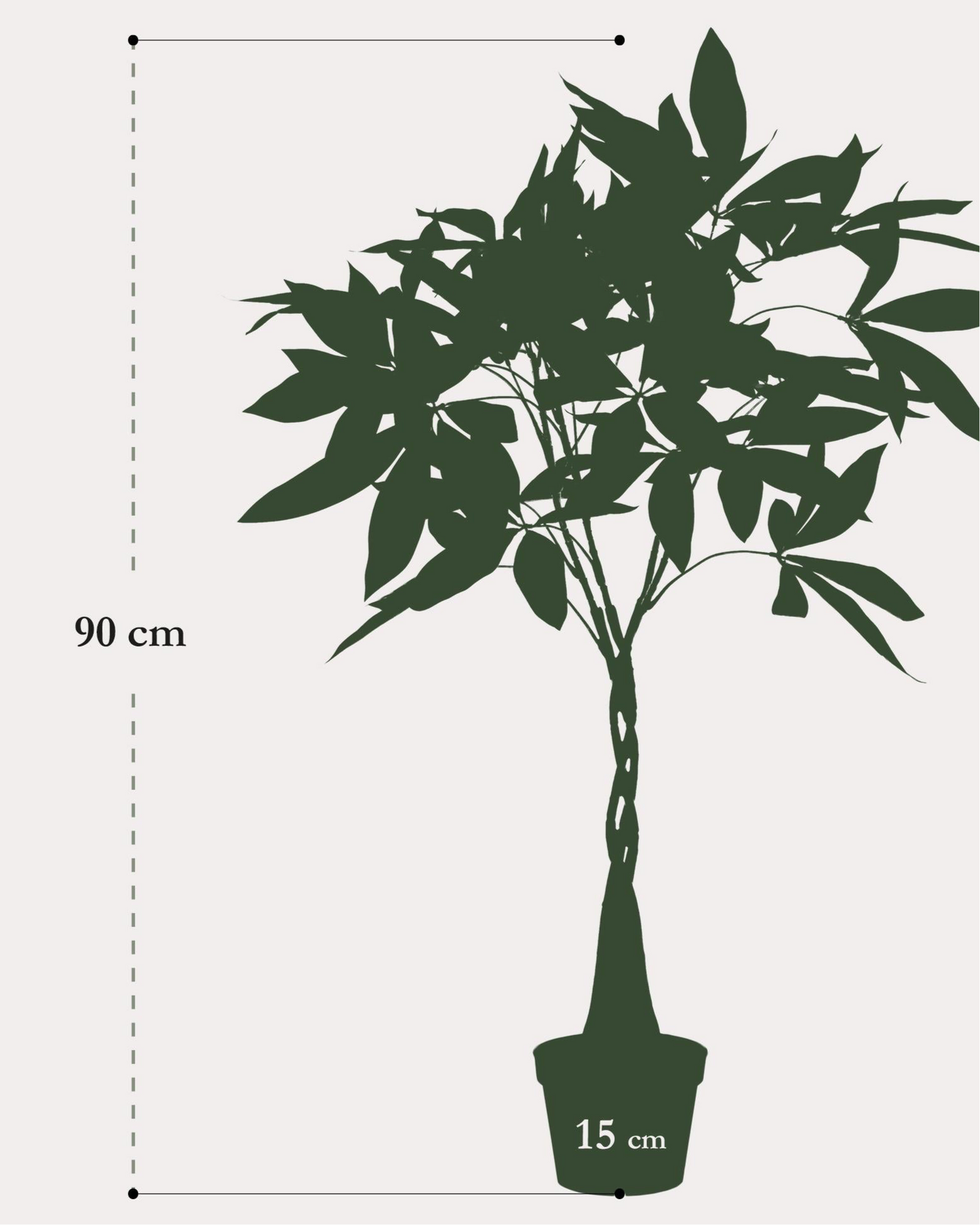Kunstplant Pachira Aquatica 90cm – Geldboom