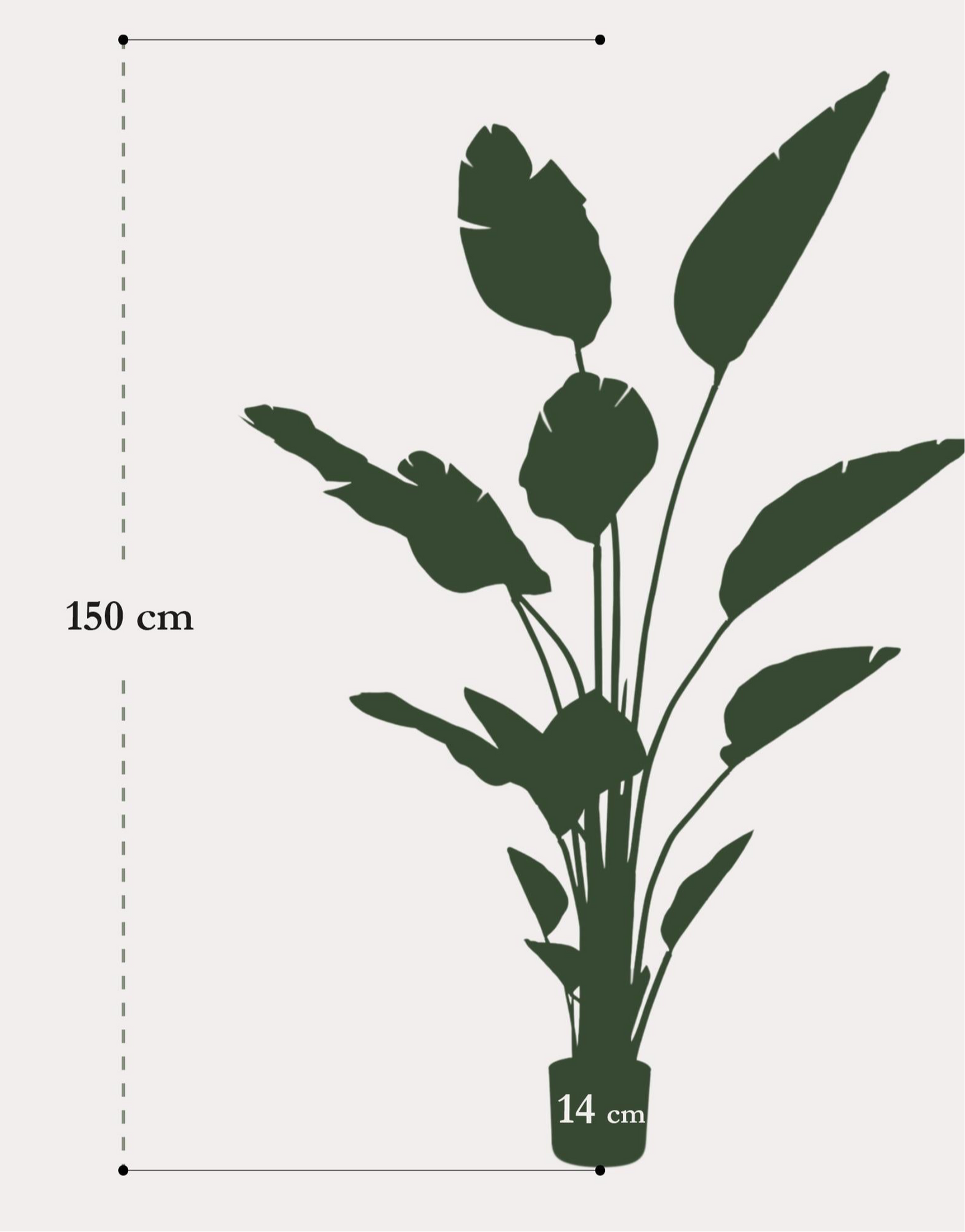 Kunstplant Strelitzia Nicolai 150cm – Paradijsvogelbloem