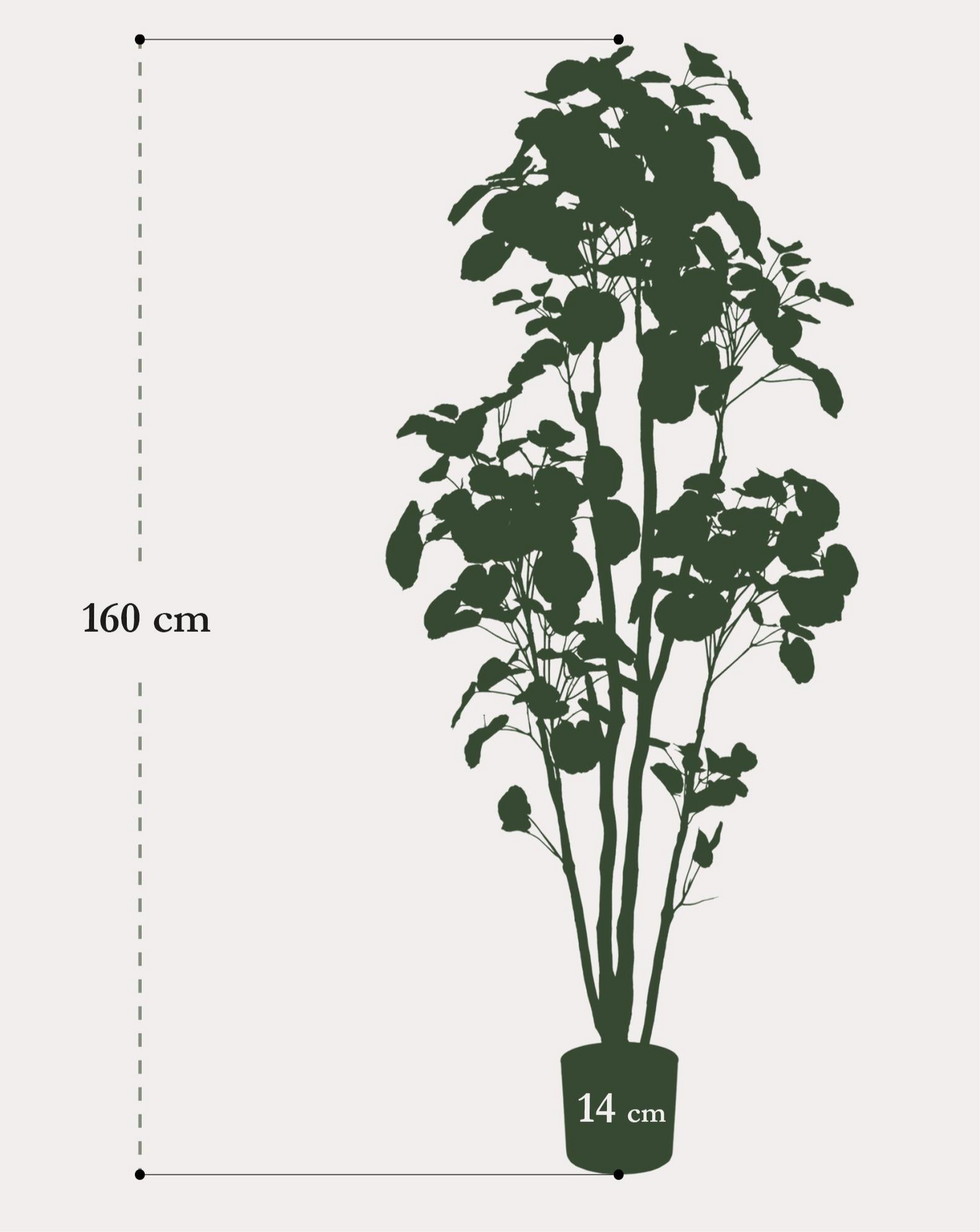 Kunstplant Polyscias Aralia 160cm