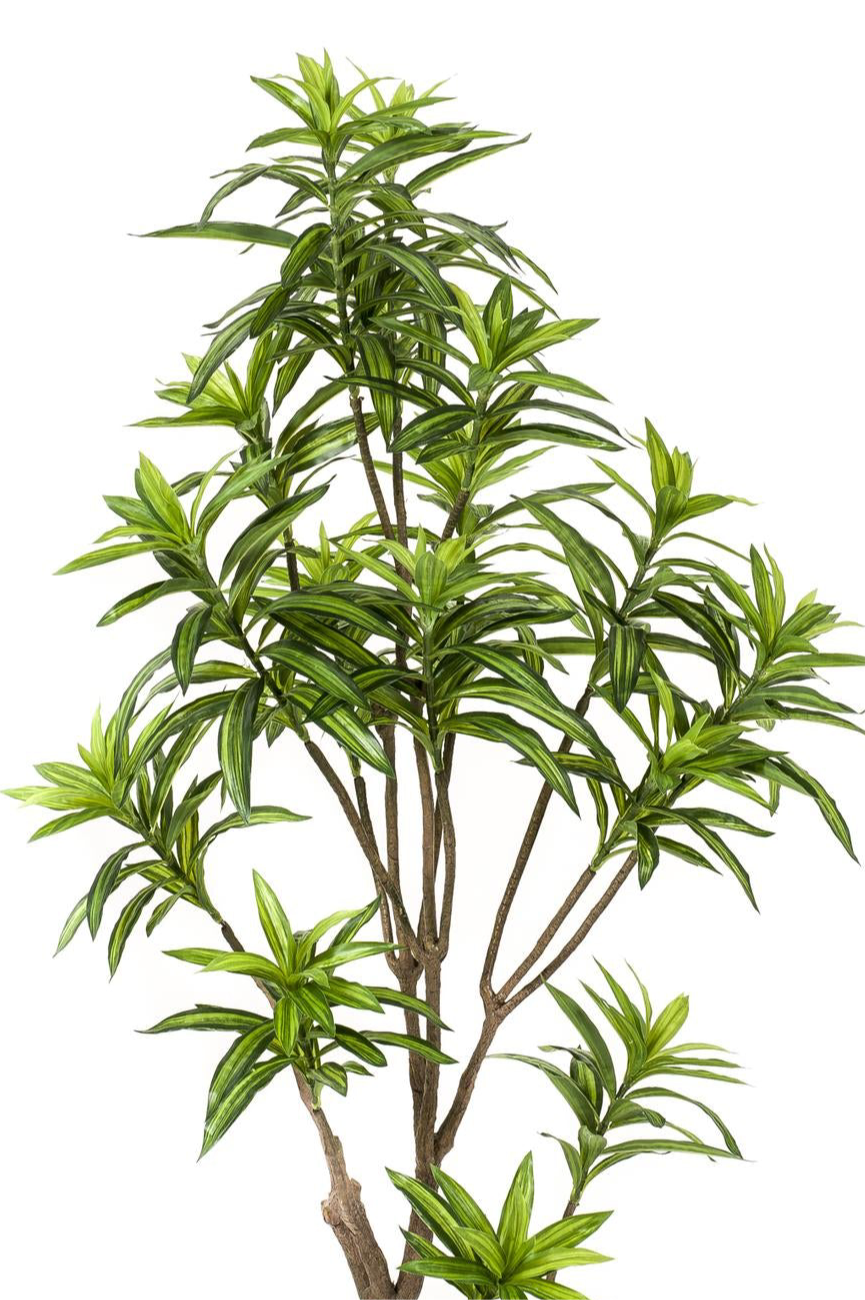 Kunstplant Dracaena 155cm – Drakenboom met tweekleurige bladeren voor woonkamer of kantoor
