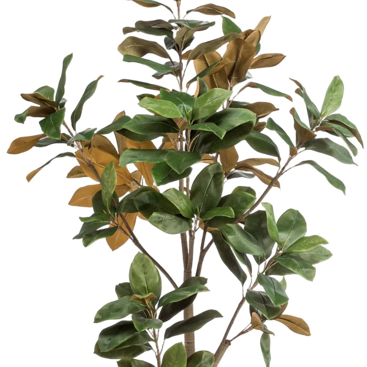 Kunstplant Magnolia Grandiflora 180cm met realistische bladeren en stam voor woonkamer of kantoor