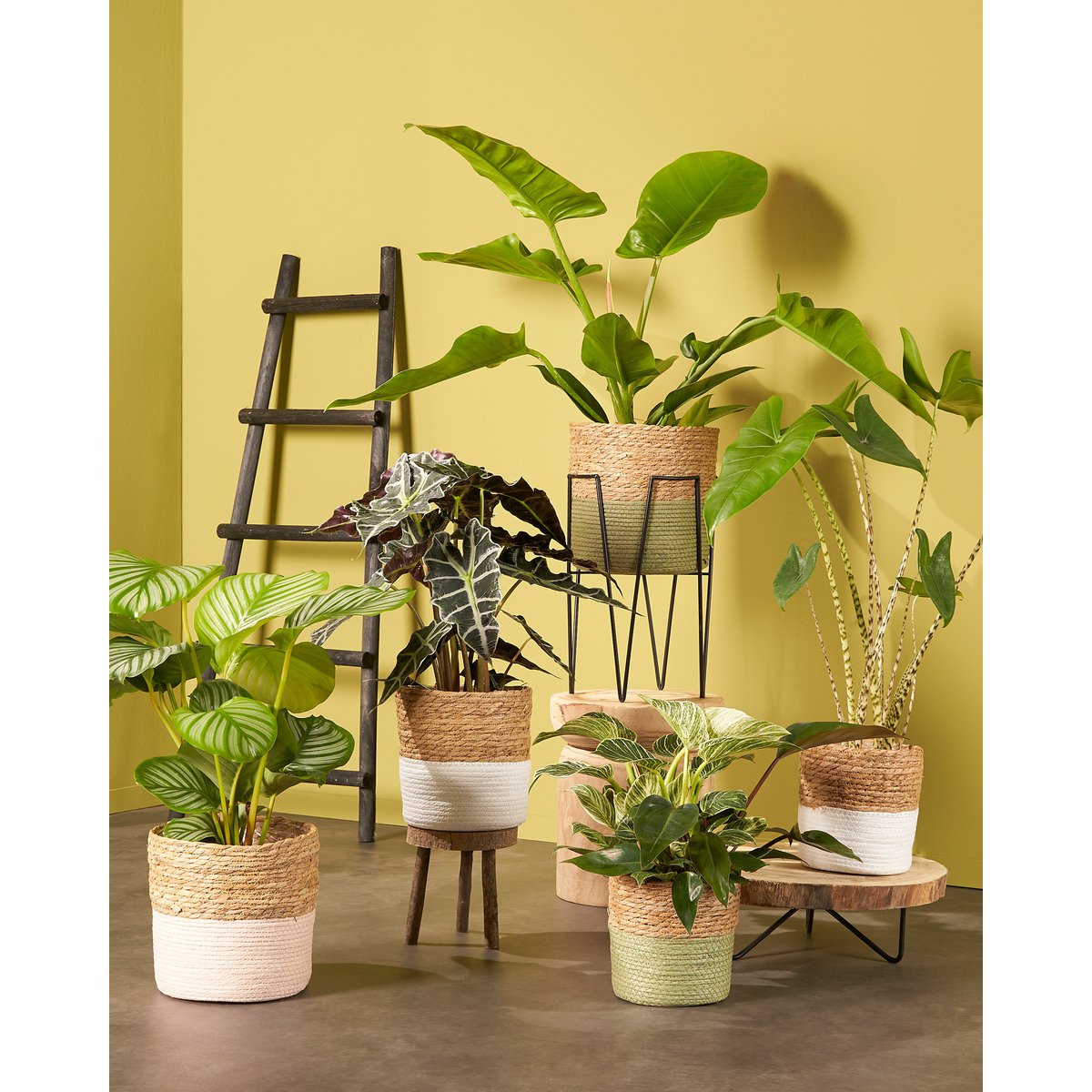 Boomstam bijzettafel 40cm met metalen onderstel – Woonware