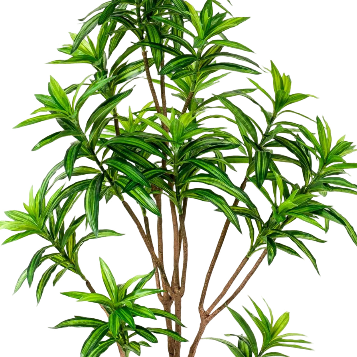 Kunstplant Dracaena 155cm – Drakenboom