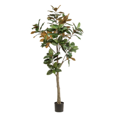 Kunstplant Magnolia Grandiflora 180cm met realistische bladeren en stam voor woonkamer of kantoor