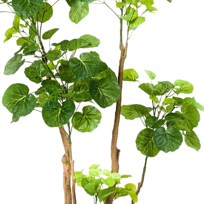 Kunstplant Polyscias Aralia 135cm – Realistische groene kunstplant