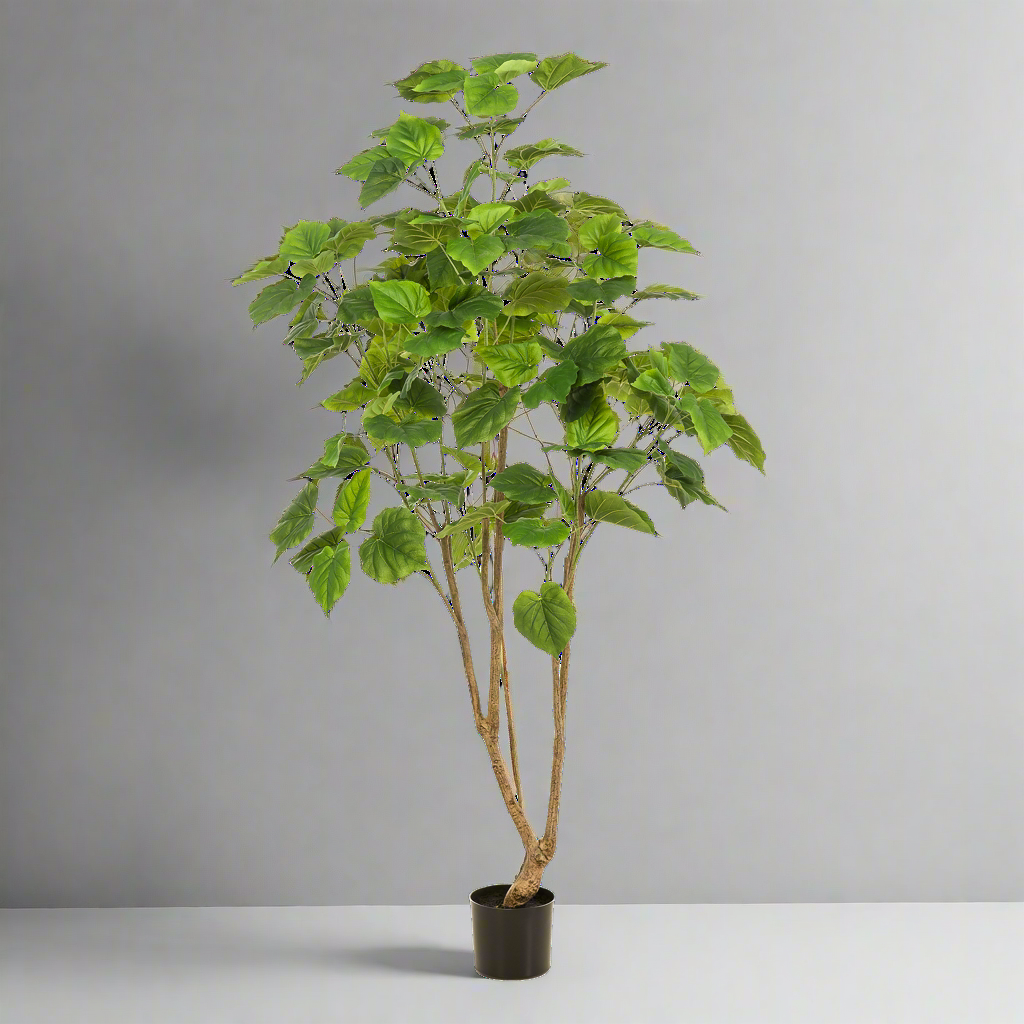 Kunstplant Ficus Umbellata 180cm – Afrikaanse vijg Groen | Woonware