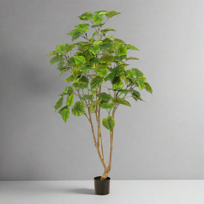 Kunstplant Ficus Umbellata 180cm – Afrikaanse vijg Groen | Woonware