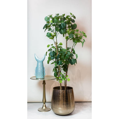 Kunstplant Polyscias Aralia 150cm – Realistische groene kunstplant