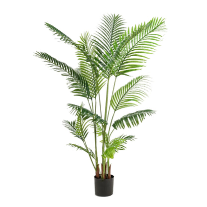Kunstplant Howea Forsteriana 160cm – Paradijspalm met donkergroene bladeren voor woonkamer of kantoor