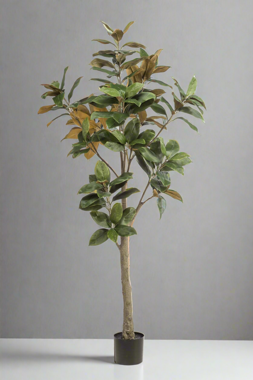 Kunstplant Magnolia Grandiflora 180cm met realistische bladeren en stam voor woonkamer of kantoor