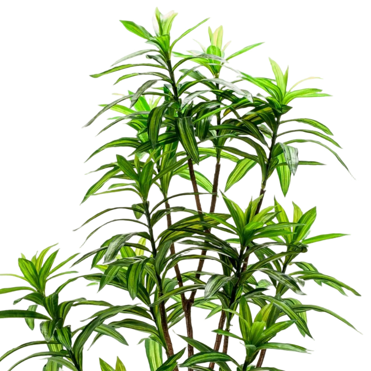 Kunstplant Dracaena 130cm – Drakenboom met tweekleurige bladeren voor woonkamer of kantoor