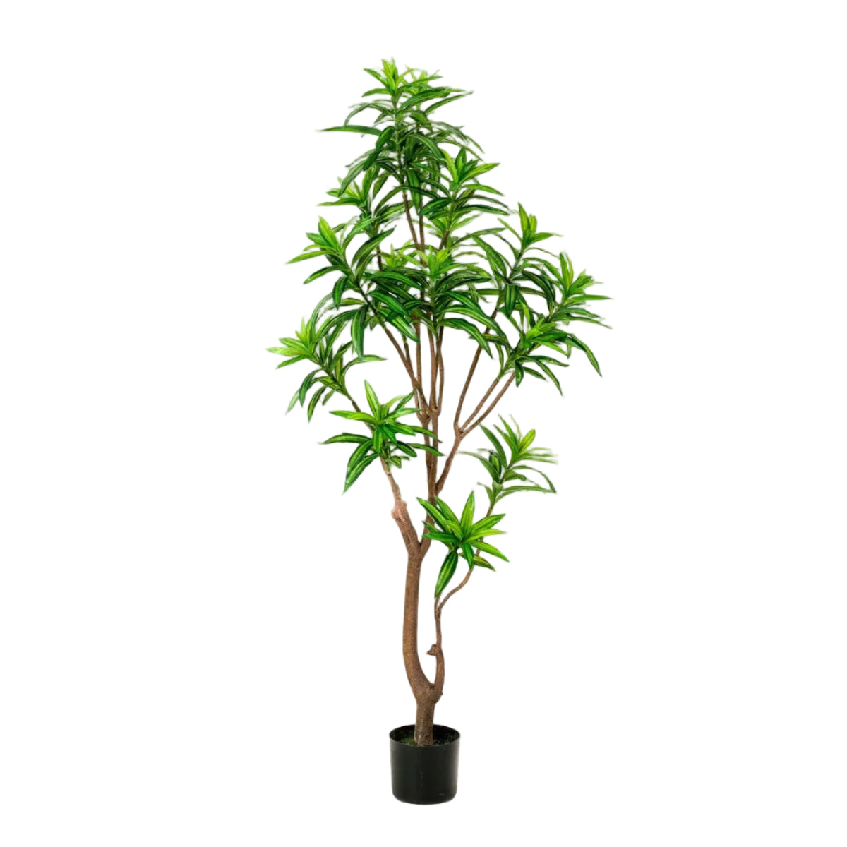 Kunstplant Dracaena 155cm – Drakenboom met tweekleurige bladeren voor woonkamer of kantoor