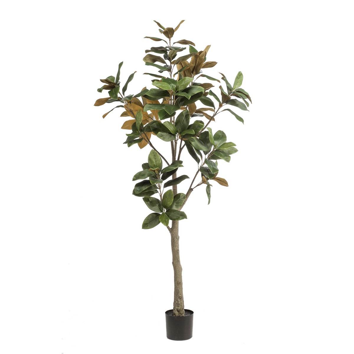 Kunstplant Magnolia Grandiflora 180cm met realistische bladeren en stam voor woonkamer of kantoor