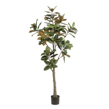 Kunstplant Magnolia Grandiflora 180cm met realistische bladeren en stam voor woonkamer of kantoor