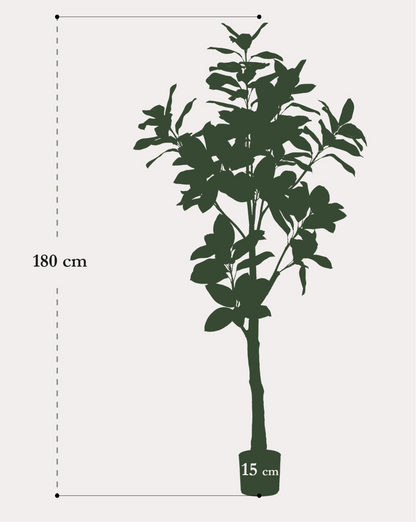 Kunstplant Magnolia Grandiflora 180cm