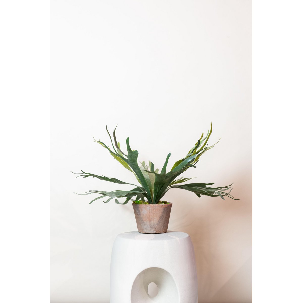 Kunstplant Staghorn Fern 50cm – Hertshoorn Varen realistisch design