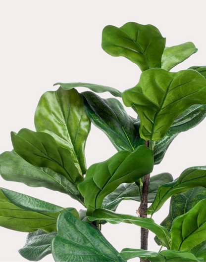 Kunstplant Ficus Lyrata 90cm – Tabaksplant met grote vioolvormige bladeren voor woonkamer of kantoor