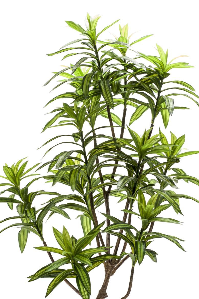 Kunstplant Dracaena 130cm – Drakenboom met tweekleurige bladeren voor woonkamer of kantoor