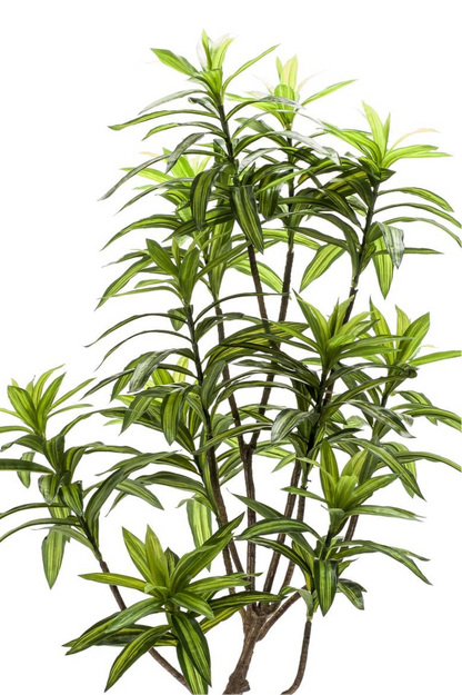Kunstplant Dracaena 130cm – Drakenboom met tweekleurige bladeren voor woonkamer of kantoor