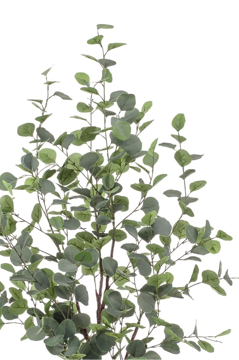 Kunstplant Eucalyptus 120cm – Blauwe Gomboom met realistische groene en zilveren bladeren voor woonkamer of kantoor