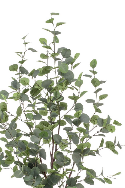 Kunstplant Eucalyptus 120cm – Blauwe Gomboom met realistische groene en zilveren bladeren voor woonkamer of kantoor