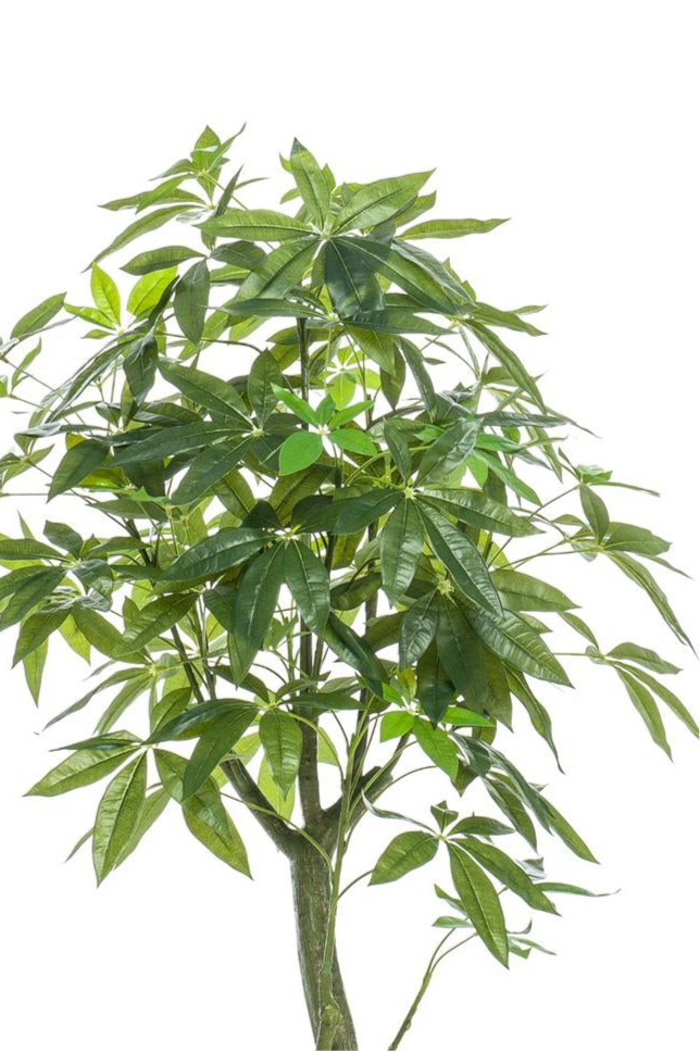 Kunstplant Pachira Aquatica 150cm – Geldboom groen woonaccessoire