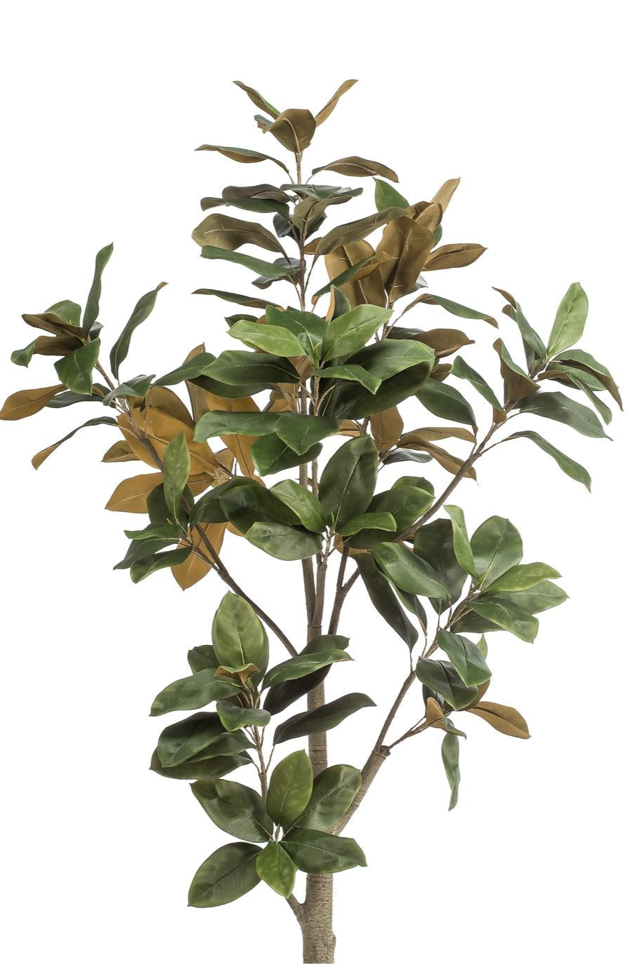 Kunstplant Magnolia Grandiflora 180cm met realistische bladeren en stam voor woonkamer of kantoor