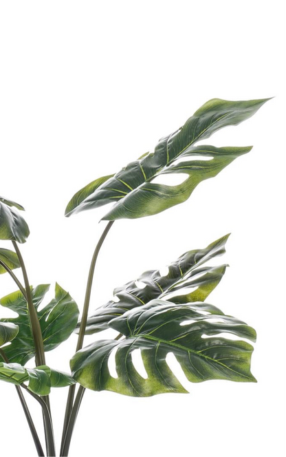 Kunstplant Monstera Deliciosa 65cm – Gatenplant Groen