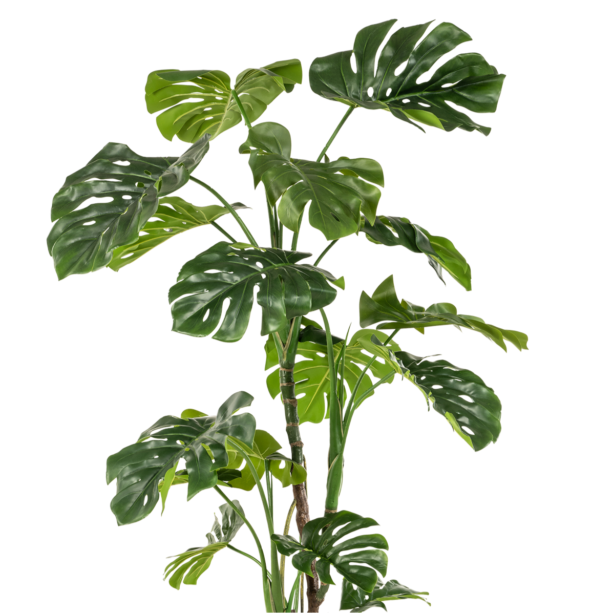 Kunstplant Monstera 180 cm grote gatenplant groen Woonware