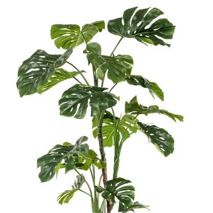 Kunstplant Monstera 180 cm grote gatenplant groen Woonware