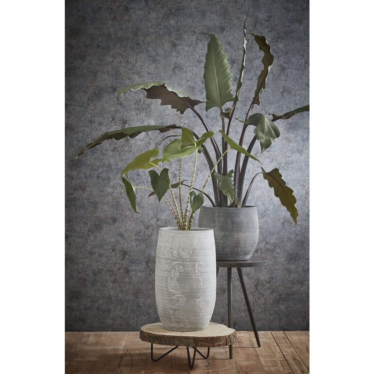 Boomstam bijzettafel 40cm met metalen onderstel – Woonware