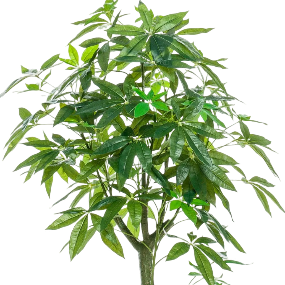 Kunstplant Pachira Aquatica 150cm – Geldboom groen woonaccessoire