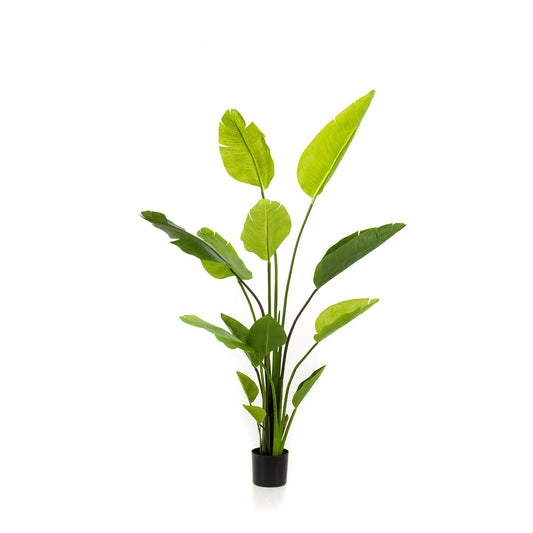 Kunstplant Strelitzia Nicolai 150 cm – grote paradijsvogelplant voor interieur
