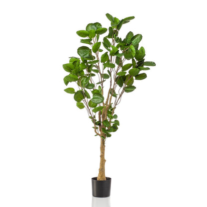 Kunstplant Polyscias Aralia 150cm – Realistische groene kunstplant