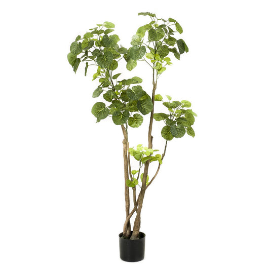 Kunstplant Polyscias Aralia 135cm – Realistische groene kunstplant