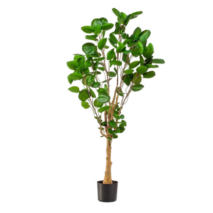 Kunstplant Polyscias Aralia 150cm – Realistische groene kunstplant