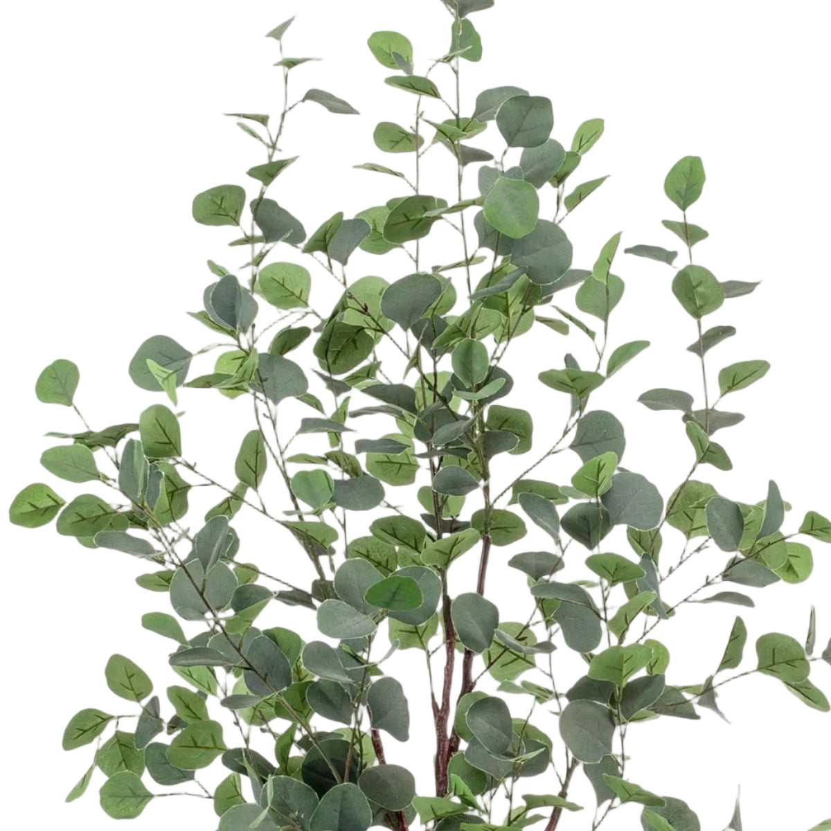 Kunstplant Eucalyptus 120cm – Blauwe Gomboom met realistische groene en zilveren bladeren voor woonkamer of kantoor