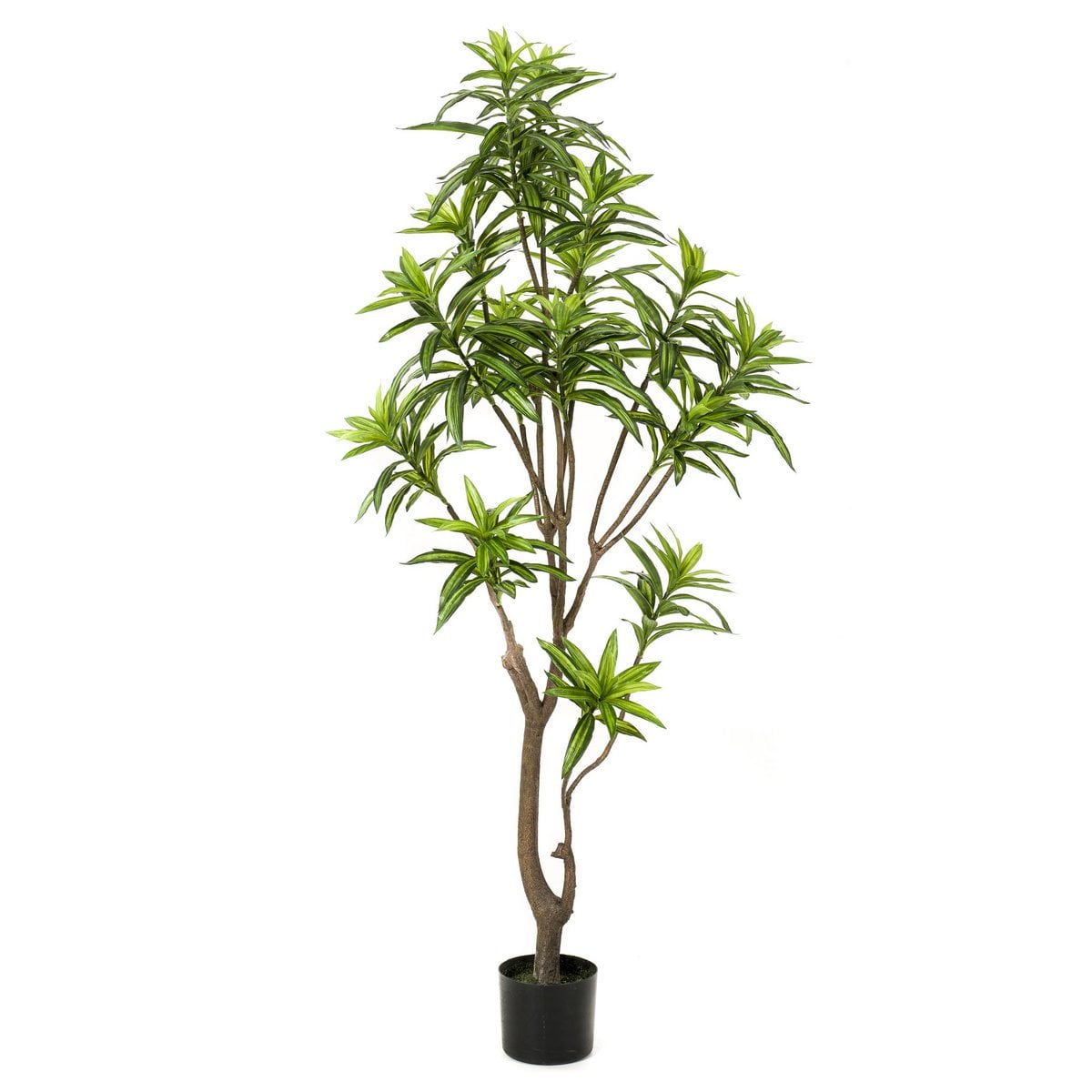 Kunstplant Dracaena 155cm – Drakenboom met tweekleurige bladeren voor woonkamer of kantoor