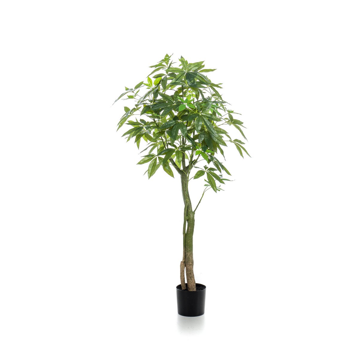Kunstplant Pachira Aquatica 150cm – Geldboom groen woonaccessoire
