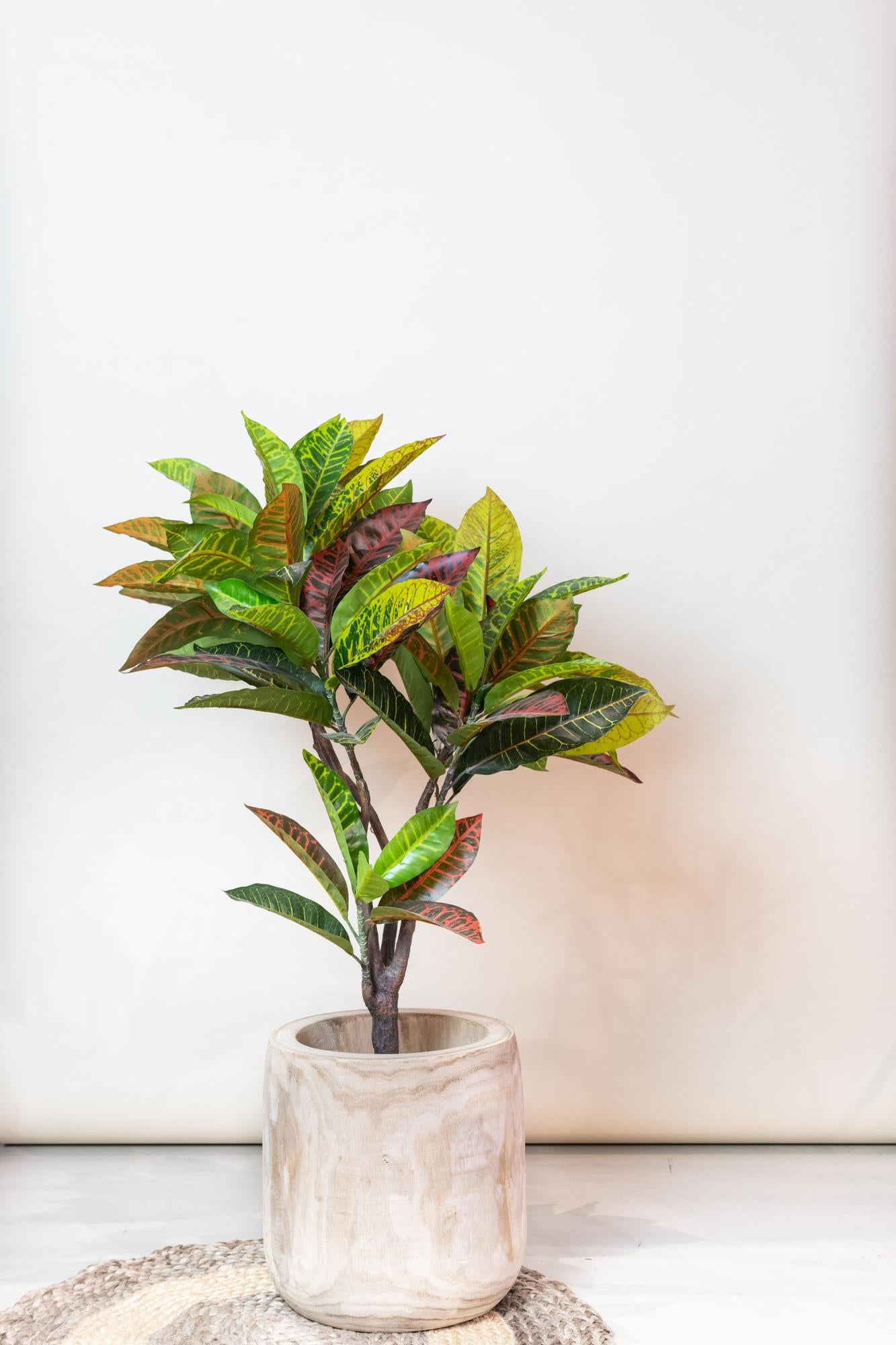 Kunstplant Croton Codiaeum 95cm – Wonderstruik met bontgekleurde bladeren voor woonkamer of kantoor