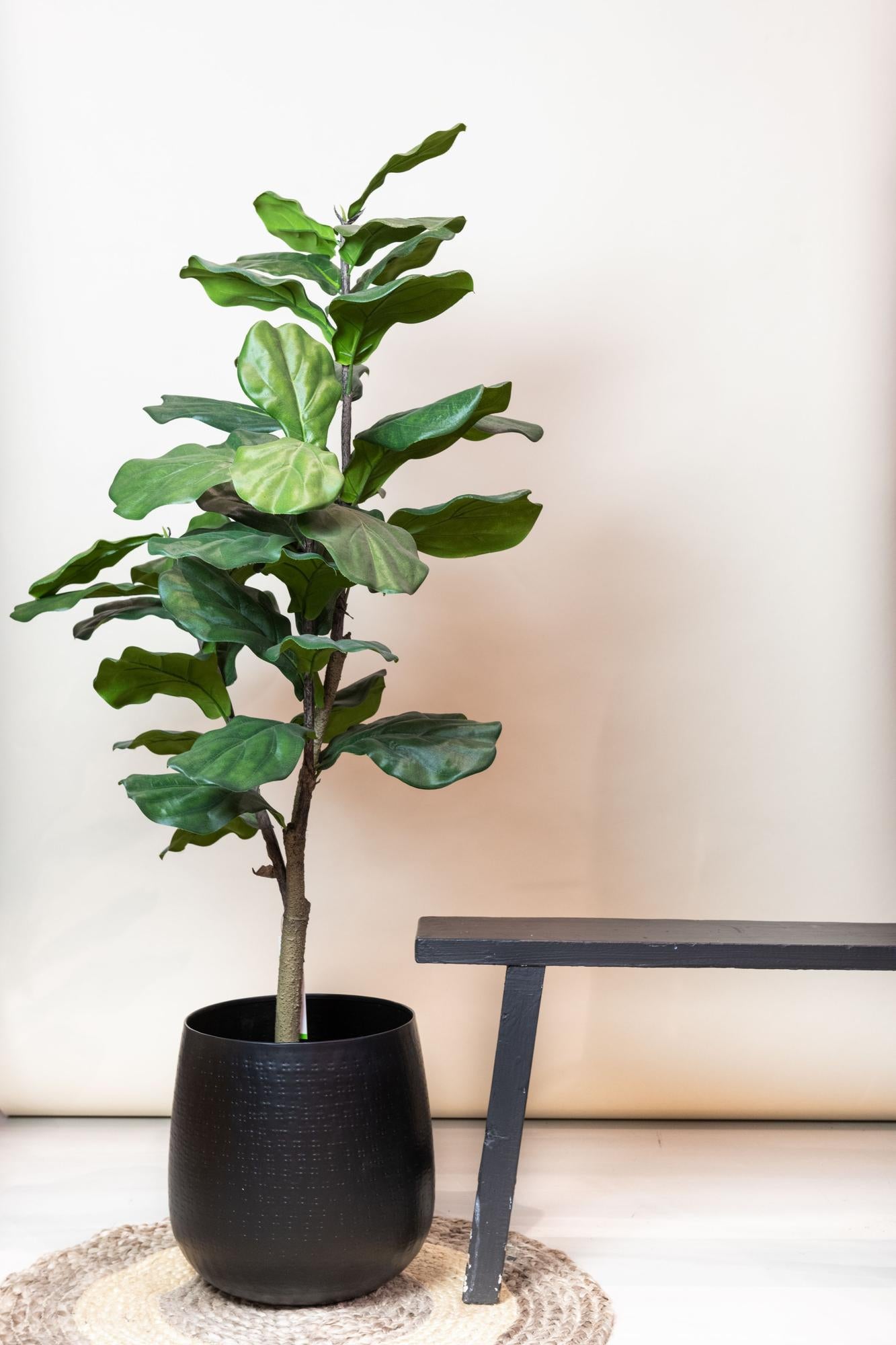 kunstplant-ficus-lyrata-120cm-tabaksplant