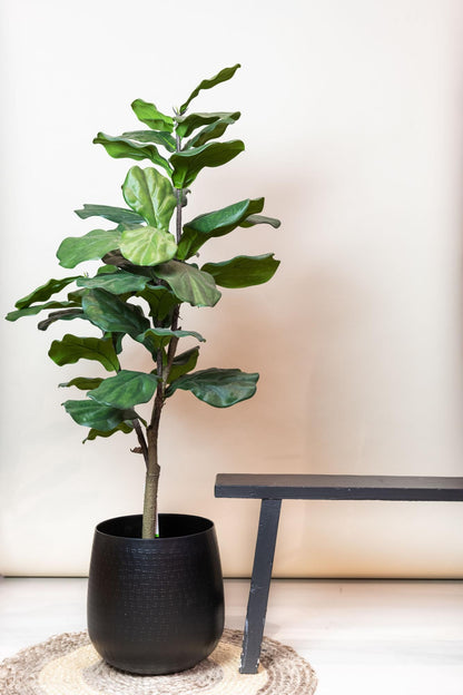 kunstplant-ficus-lyrata-120cm-tabaksplant