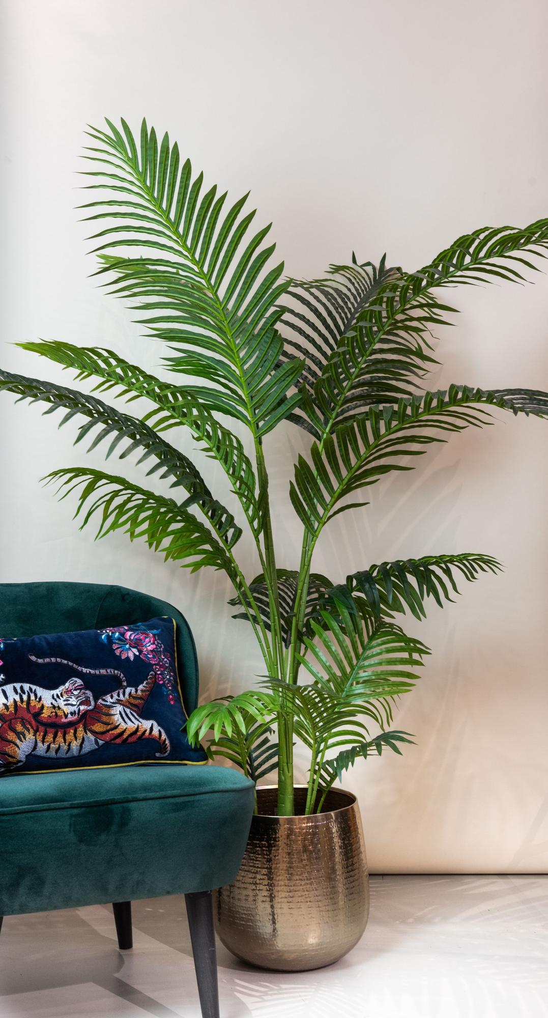 Kunstplant Howea Forsteriana 160cm – Paradijspalm met donkergroene bladeren voor woonkamer of kantoor